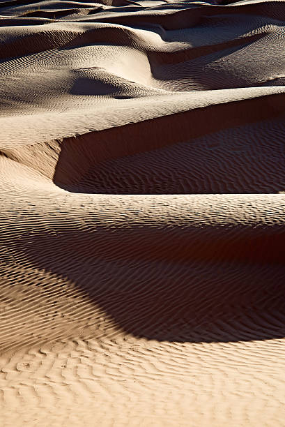 istock Abstract landscape of the sand dunes 507620687