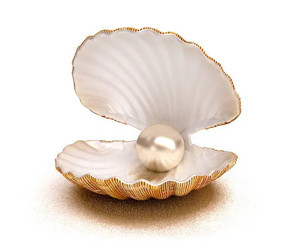 Photo of shell pearl