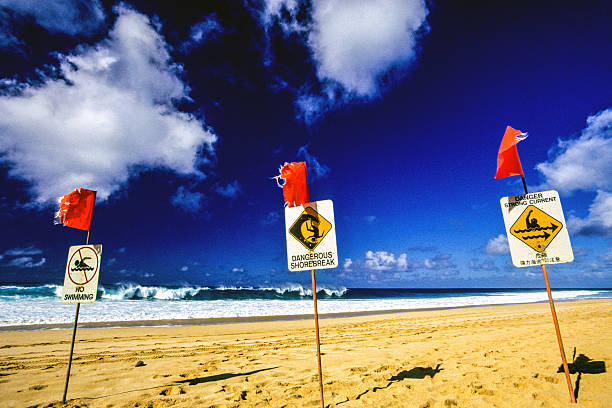 istock Warning signs on the North Shore 507621563