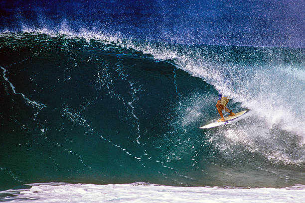 istock Surfing on the North Shore 507621945