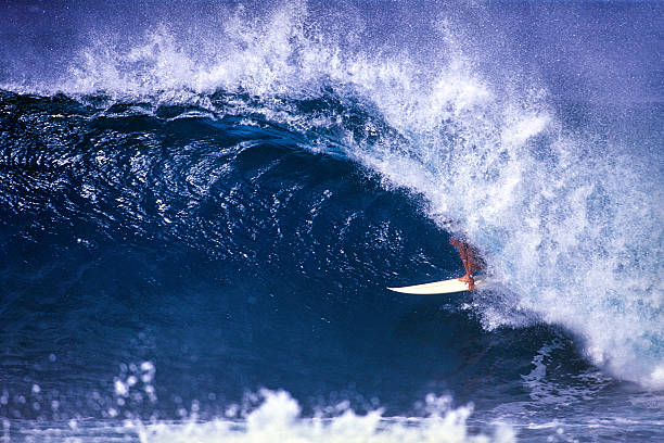 istock Surfing on the North Shore 507621957