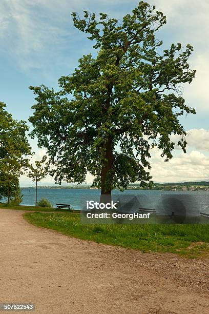 Lago Di Costanza - Fotografie stock e altre immagini di Acqua - Acqua, Albero, Allegro