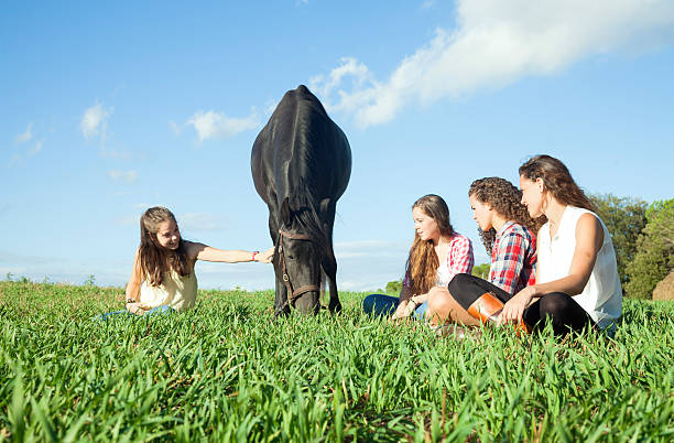 Twin sisters smile and engage with majestic white horse in picturesque outdoor location, surrounded by lush greenery and warm sunlight