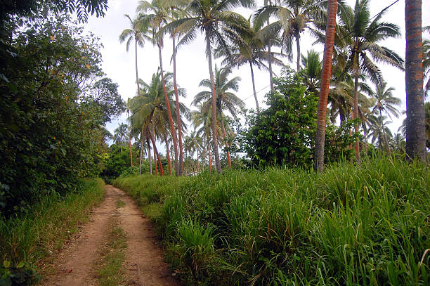istock Gravel road at rural area 507627402