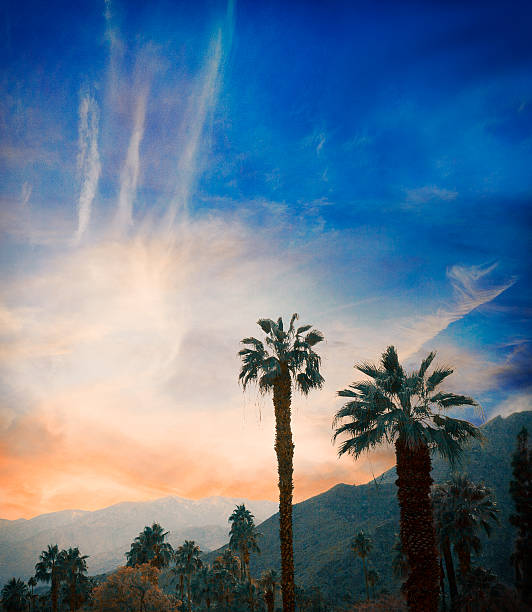 istock Palm Springs, California, USA 507630240