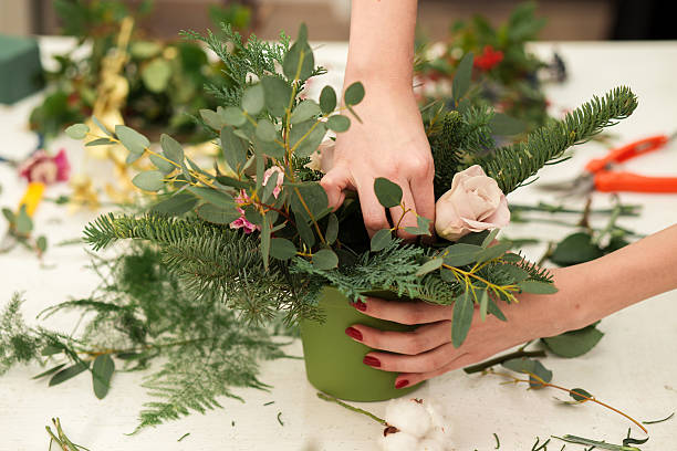 istock Creating a wonderful composition cotton, cones, fir, magical variety carnations 507634872