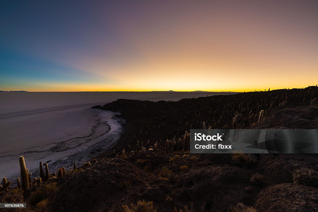 Uyuni Salt Flat on the Bolivian Andes at dawn Uyuni Salt Flat viewed from the summit of the Incahuasi Island, among the most important travel destination in Bolivia. Wide angle shot at dawn with glowing cactus in the foreground. Above Stock Photo