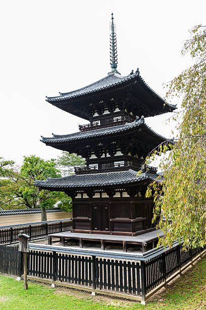 three-storied pagoda at kofukuji temple in nara - 興福寺 奈良 個照片及圖片檔