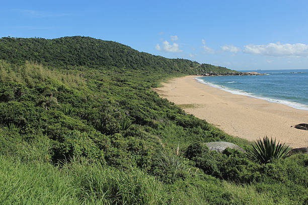 istock Balneario Camboriu - Brazil 507636496