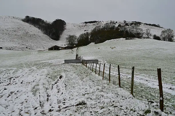 Snow covers the Southdowns hill range in Sussex, England. The V of planted trees which were planted in 1887 for Queen Victoria's Jubilee can be seen clearly. Image taken in early January 2016 near Plumpton.