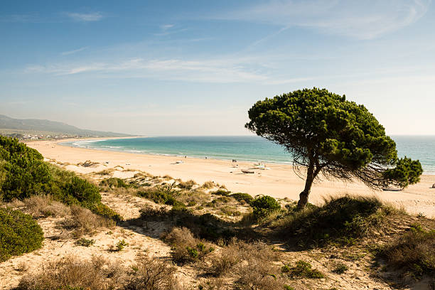 bolonia plage ona belle journée d'hiver. - costa de la luz photos et images de collection