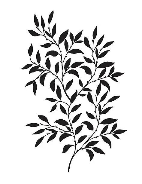 Vector illustration of Hand Drawn Leaves Vine
