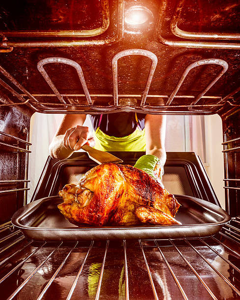 istock Cooking chicken in the oven at home. 507638622