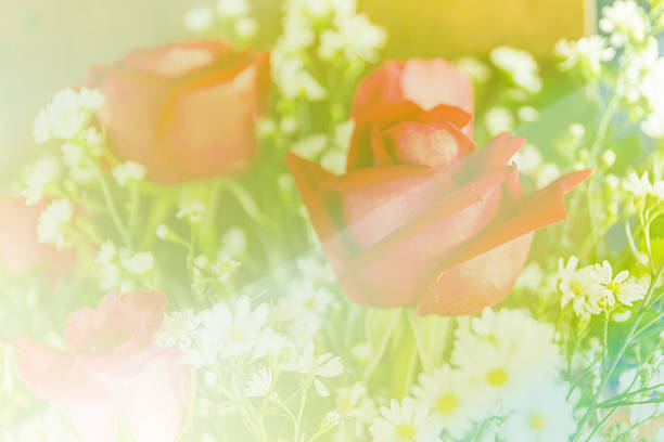 istock Abstract sweet fantasy flower 507638892