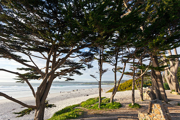 istock Beach at Carmel Late Afternoon 507641510