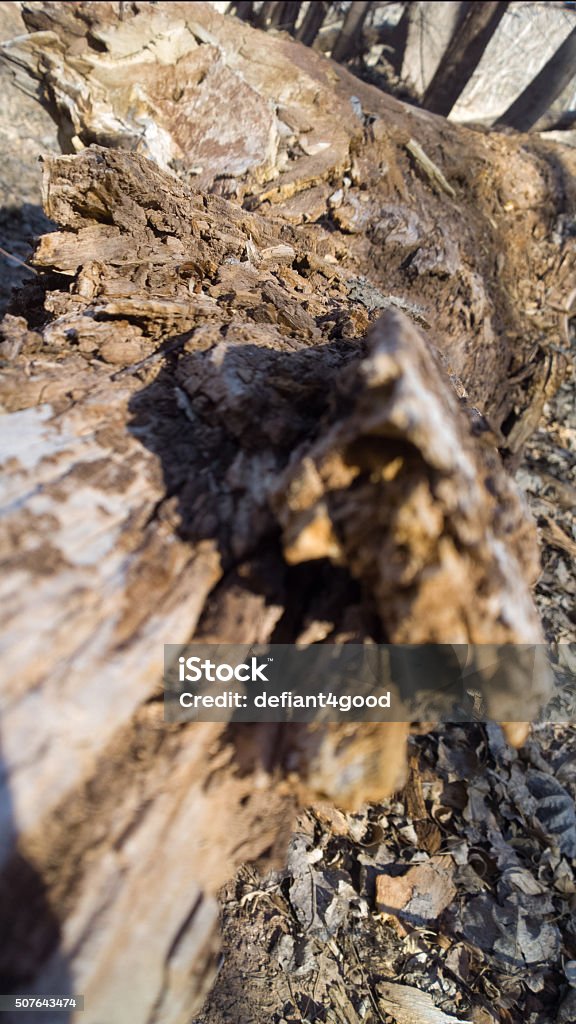 Vertical Long Rocks Log Rocks Texture Vertical Stock Photo - Download Image Now - Close-up ...
