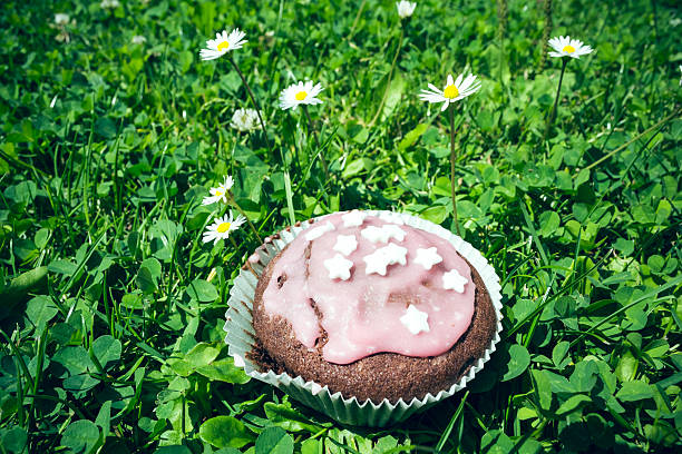 muffin au chocolat dans la prairie - golden daisy photos et images de collection