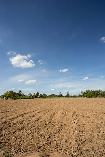 istock prepare plantation with blue sky 507650027