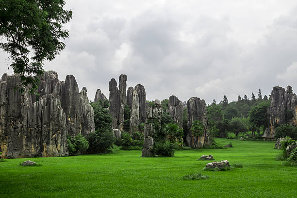istock Chinese Yunnan Kunming Stone Forest Scenery 507650367