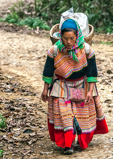 hmong mulher com cesto cheio à sua volta. - bac ha - fotografias e filmes do acervo