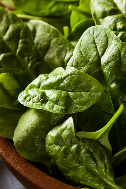 istock Raw Green Organic Baby Spinach 507652065