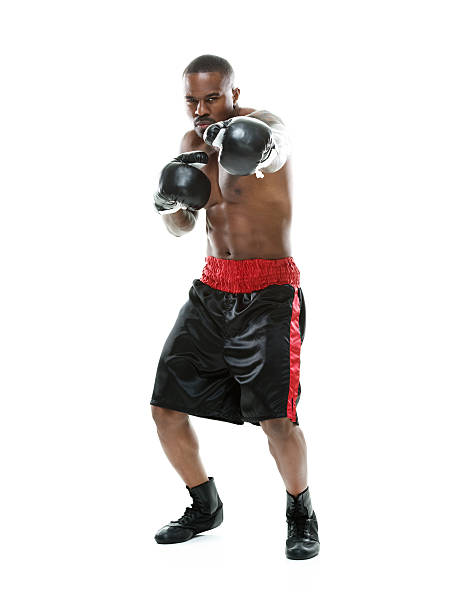 istock Front view of boxer boxing 507652195