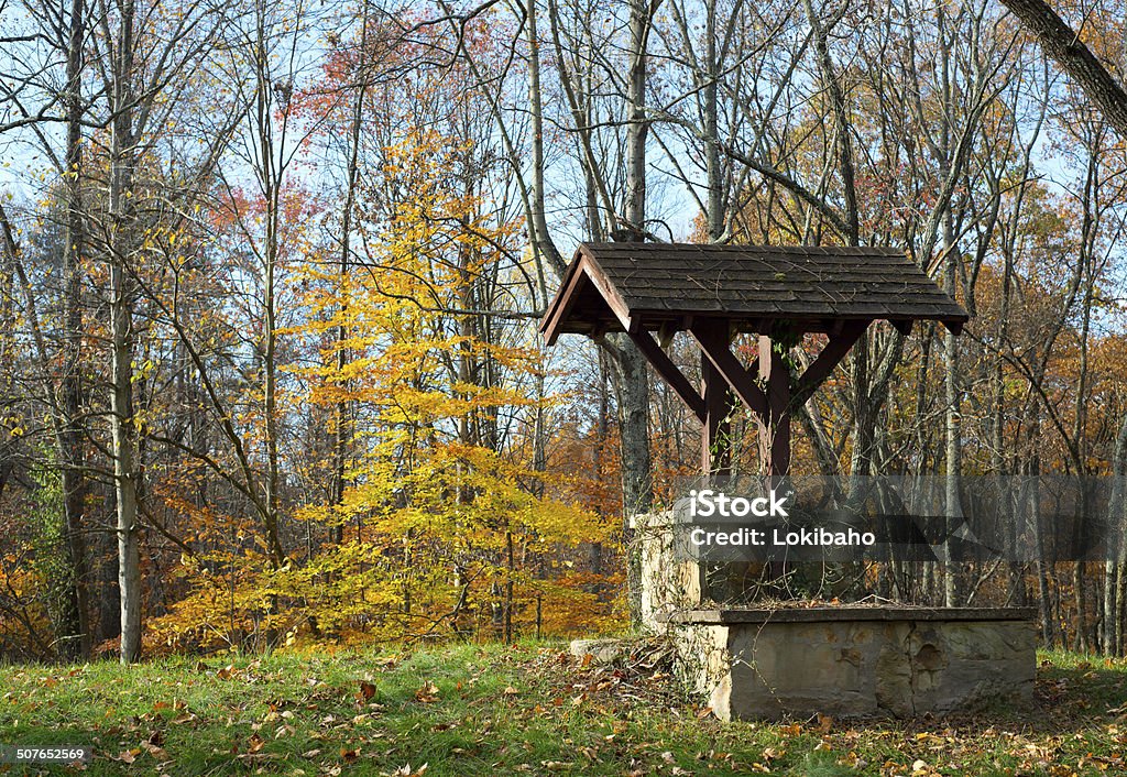 Old Well im Youngman Nature Reserve - Lizenzfrei Baum Stock-Foto