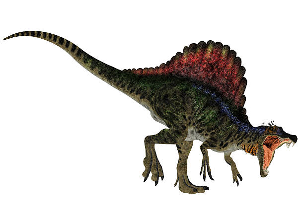 istock Illustration of a Spinosaurus 507655001