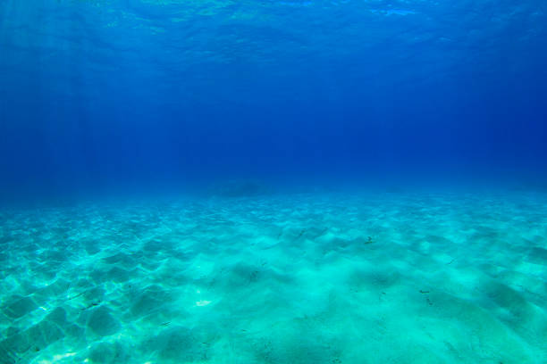 istock Underwater background in sea 507657661