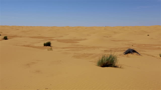 Sahara Desert of Tunisia