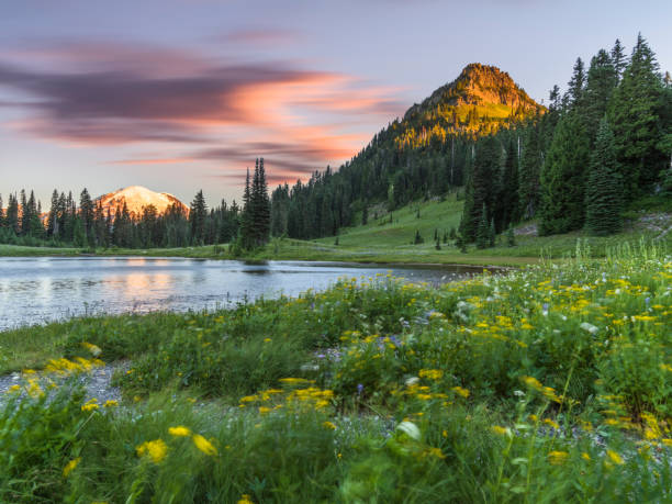 istock Tipsoo Lake of MT.Rainier 507678120