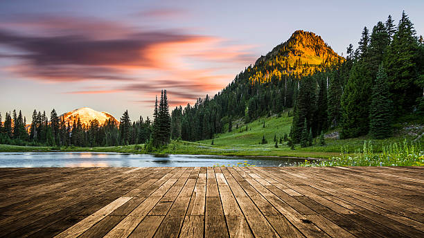MT.Rainier National Park, WA, USA.
