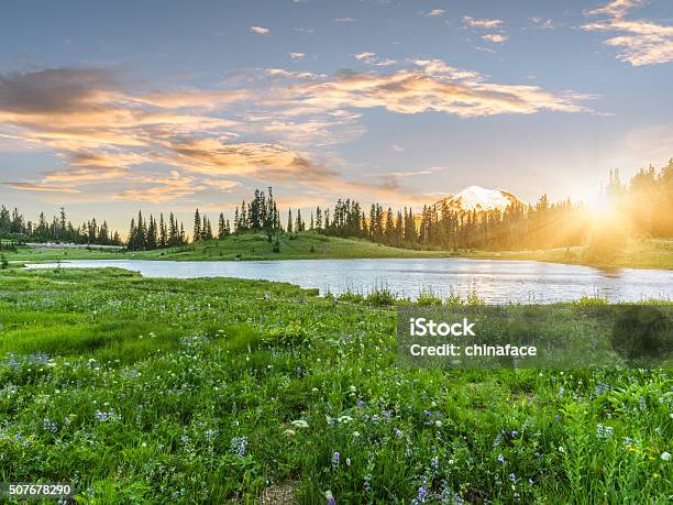 Tipsoo Lake Of Mtrainier Stock Photo - Download Image Now - Lake, Meadow, Grass