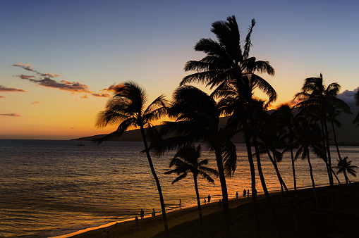 Palm trees and the ocean against a beautiful Maui sunset with people walking on the beach