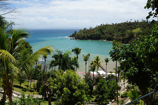 istock Beach Cayacoa resort, Samana, Dominican republic 507678478