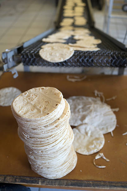 Tortilla Factory Fresh Corn tortilla's await packaging at a tortilla manufacturing plant tortilla flatbread stock pictures, royalty-free photos & images
