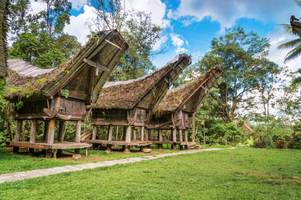 istock Tongkonan traditional rice barns 507680790