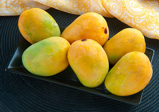 Mango-17 Mango, A king of all fruits, Best quality Pakistani Mango sindhri stock pictures, royalty-free photos & images
