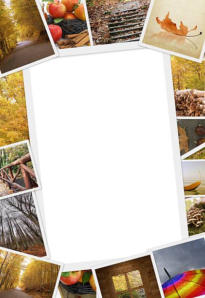 istock Collection of autumn photos with copy space 507682561