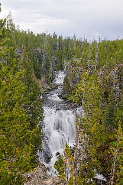 kepler cascadas cascada, parque nacional de yellowstone - río firehole fotografías e imágenes de stock