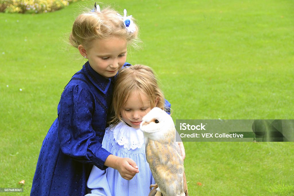 2 sisters and an owl A 2 year old, dressed in edwardian style children's clothing is being told by her 6 year old sister how to hold a beautiful barn owl Child Stock Photo