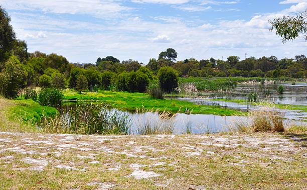 istock Bibra Lake Reserve: Wetland Landscape 507683410