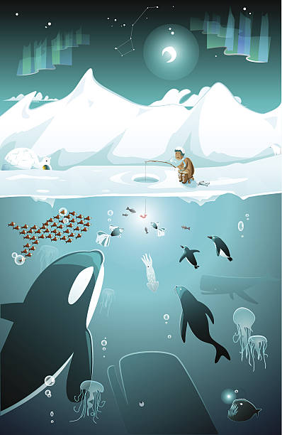 Marine life under water on the North pole vector art illustration