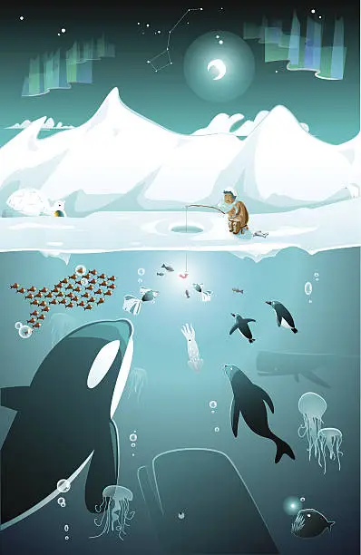 Vector illustration of Marine life under water on the North pole