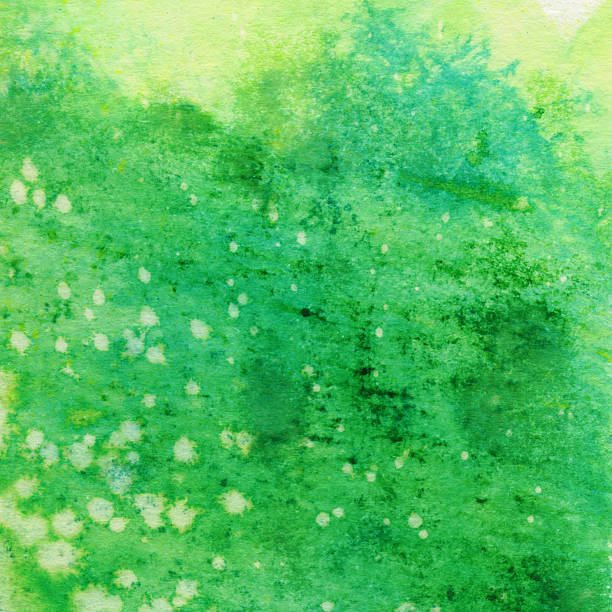 istock Green abstract textured background handpainted with ink and watercolors 507687794