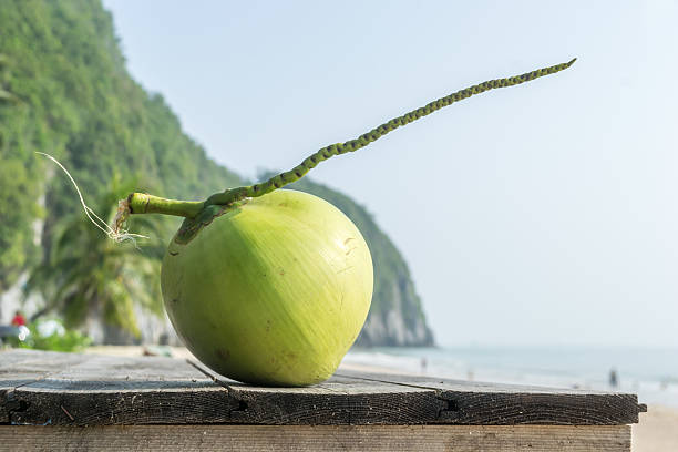 istock Fresh green coconut on wood table 507688134