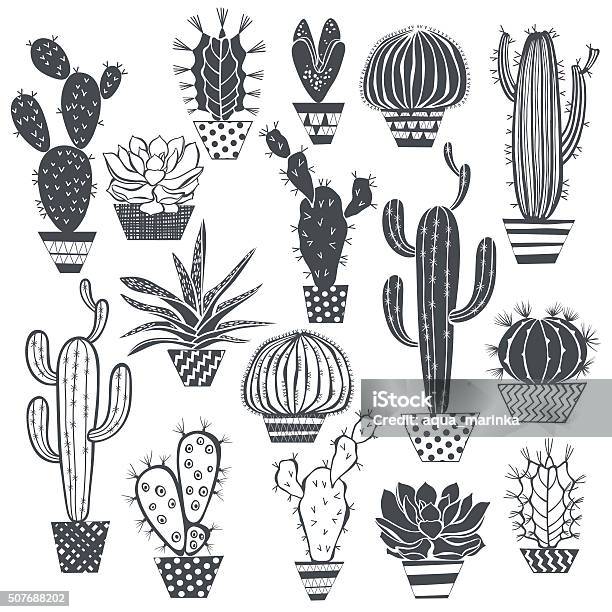 Cactus And Succulents Isolated On White Background Stock Illustration - Download Image Now