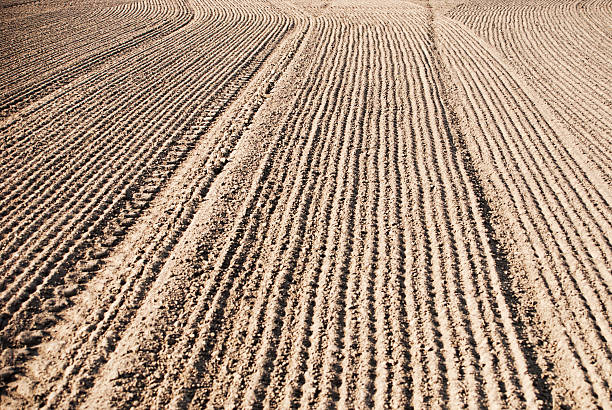 istock soil of an agricultural field 507688807