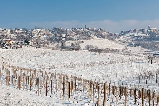 istock Vineyards covered with snow in Italy. 507688988
