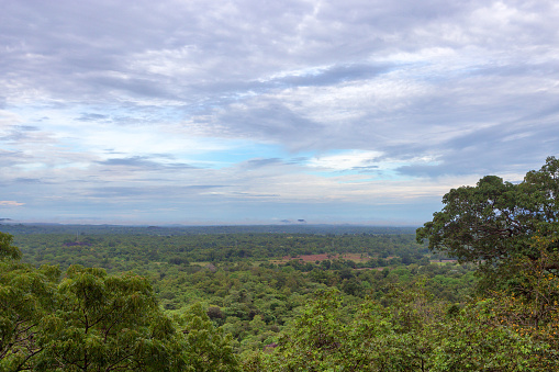 Landscape with tropical forest viewed from Sigiriya rock